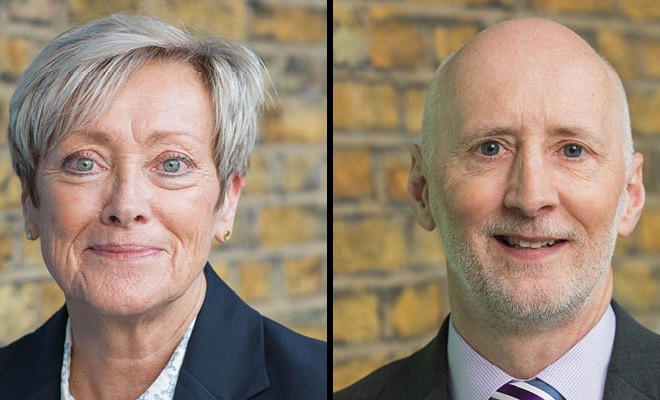 RCN appoints new council chair and vice chair - Vimarsana News