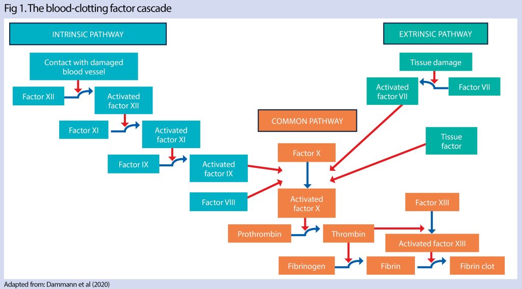 Coagulopathies abnormal bloodclotting and bleeding disorders